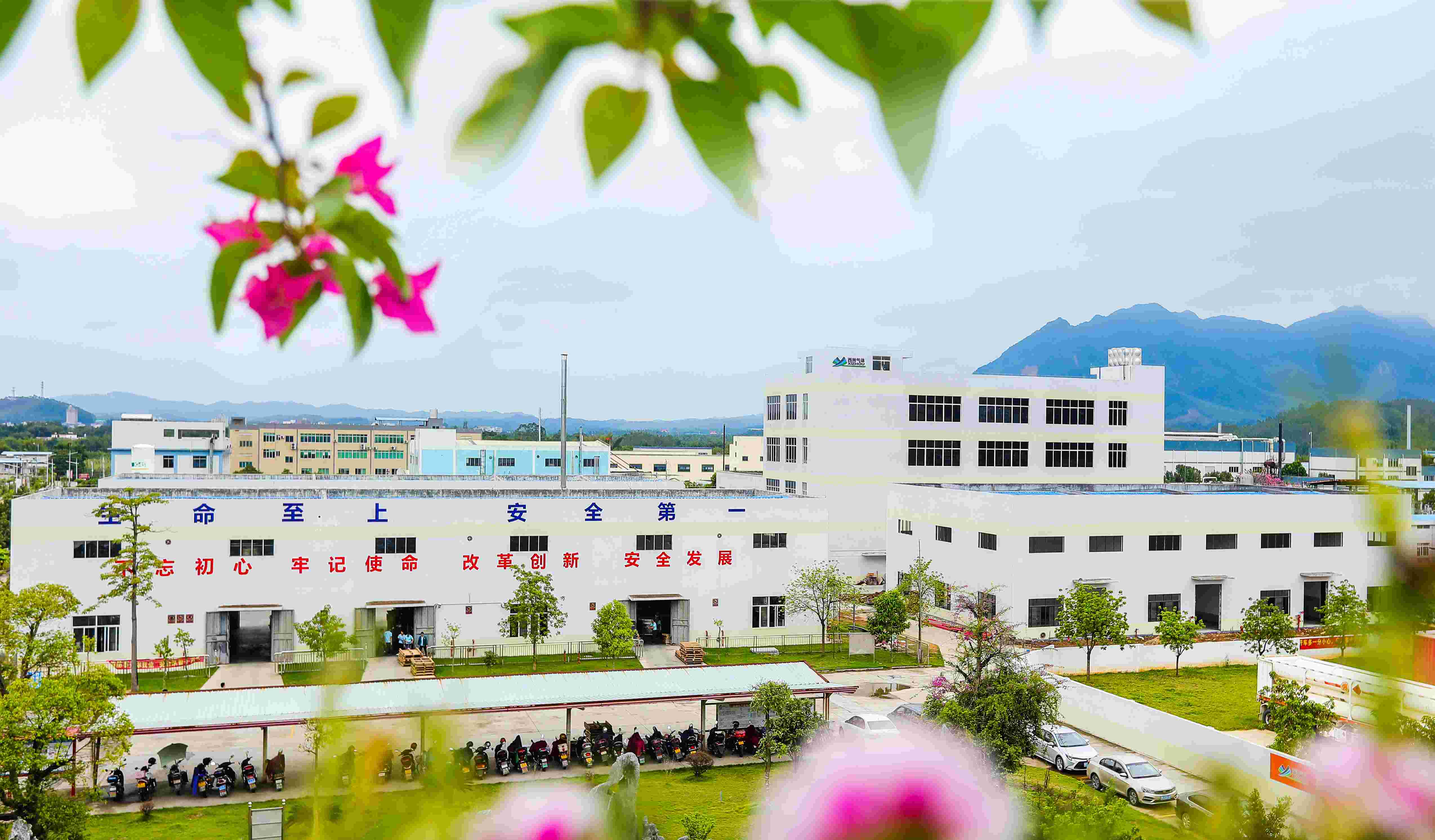 ����lewin-����������峧��