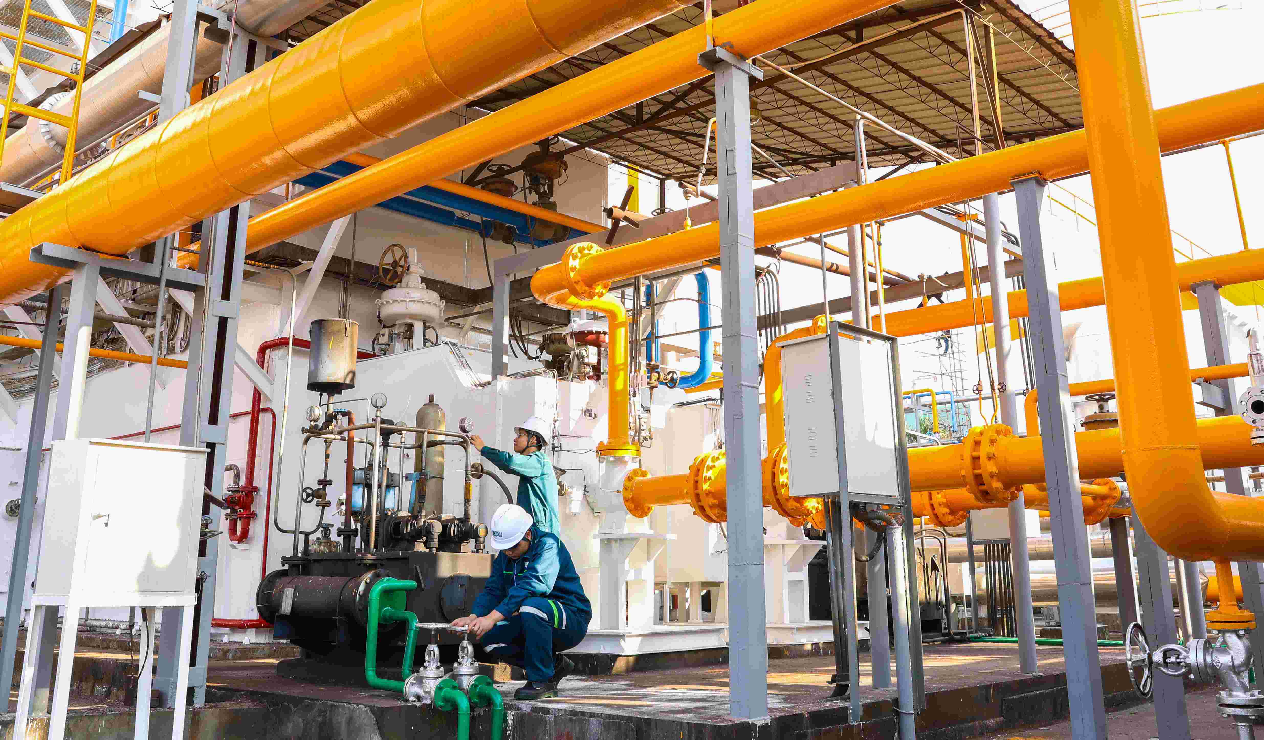 ����lewin-����������峧��